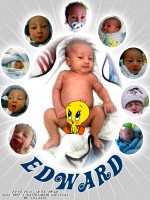 /album/atelie/projeto-so-jpg/